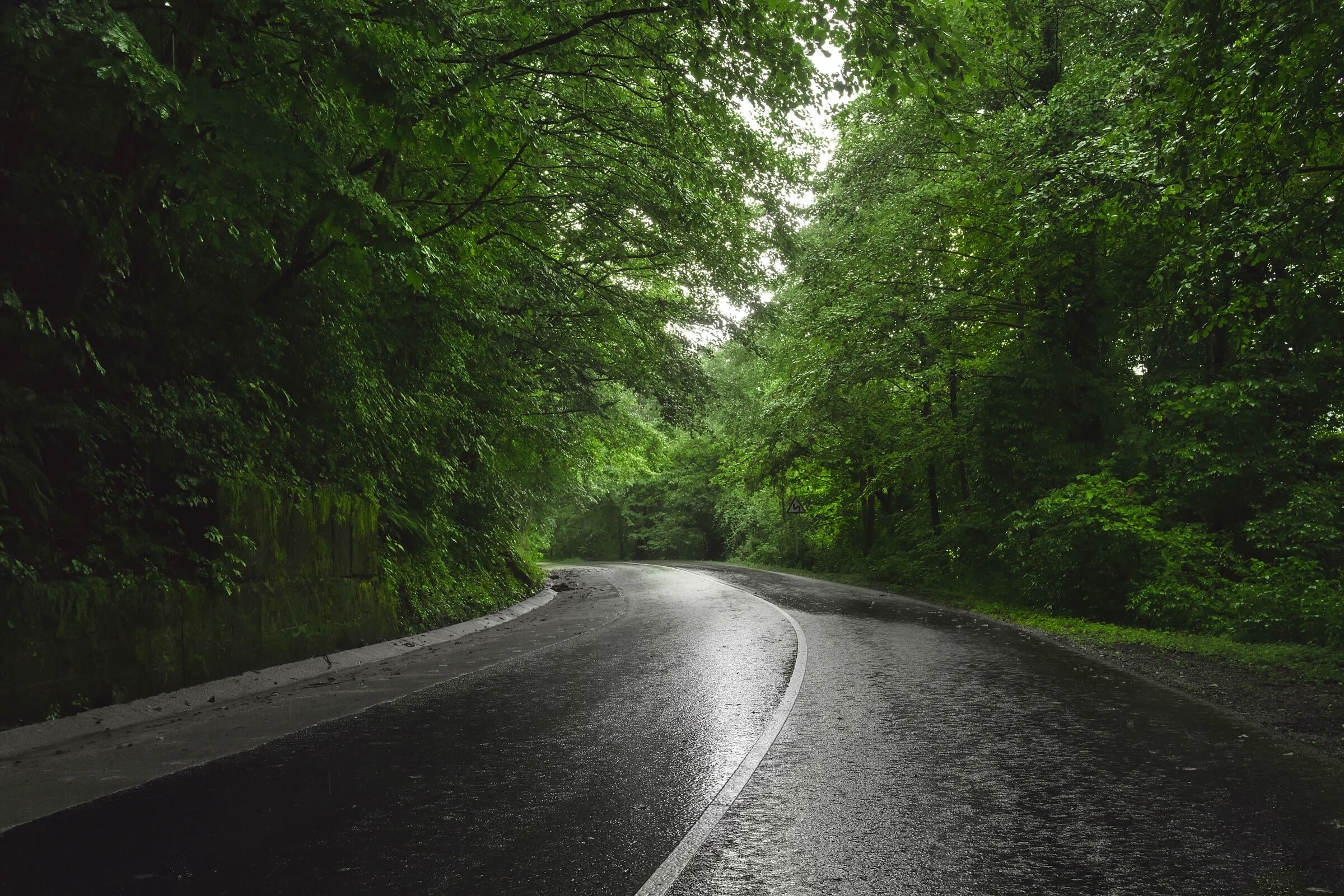 Rainy Wet Road Conditions