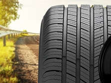 Michelin Defender T+H