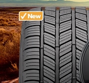 Bridgestone Turanza EverDrive