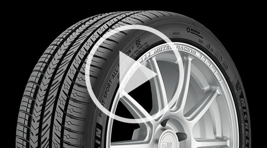 Michelin Pilot Sport All Season 4