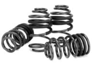 Eibach Pro-Kit Spring Set