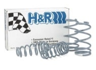 H&R OE Sport Spring Set