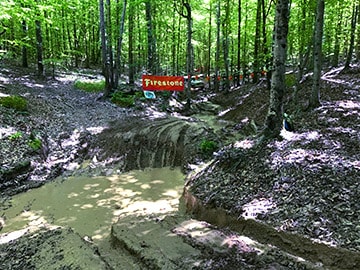 Wading Pool-Size Mud Puddle