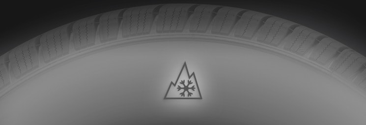 Severe Snow Service Symbol